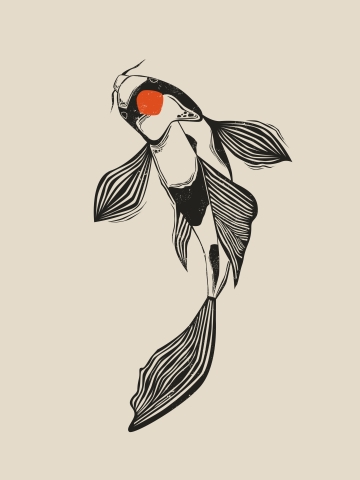 Carpa Koi