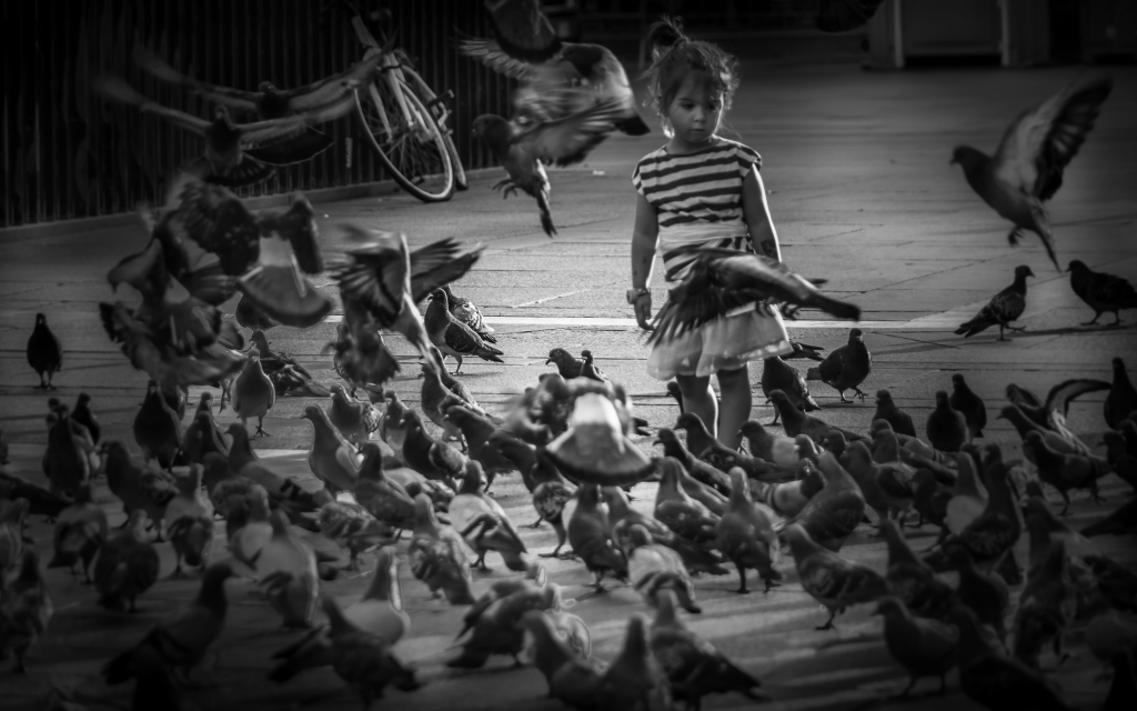 dentro la scena