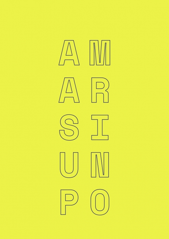 AMARSI UN PO