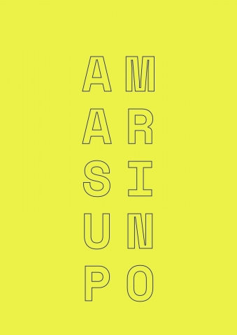AMARSI UN PO