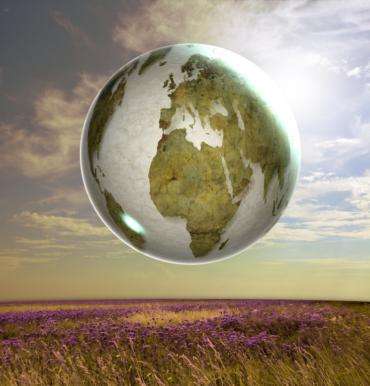 Globo su prato di lavanda