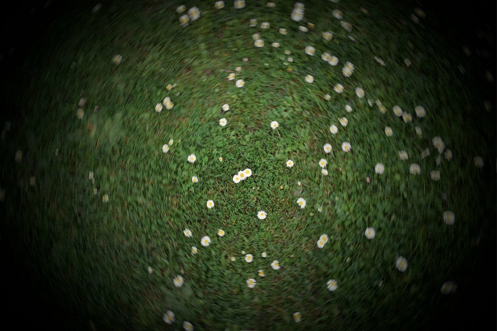 Tra terra e Cielo