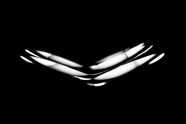 Silver Wings