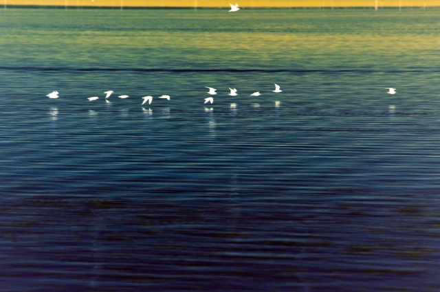 Fuga dal lago malato