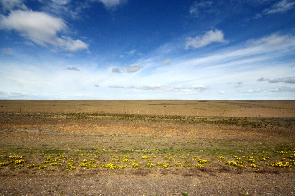Pampa Patagonia