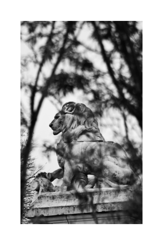 L'emblème du Lion
