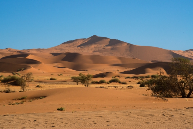 Duna Lontana