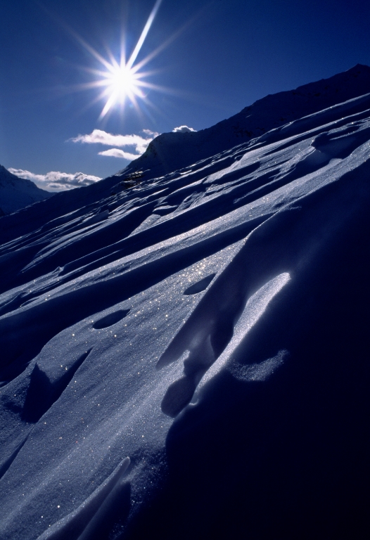 Neve #19