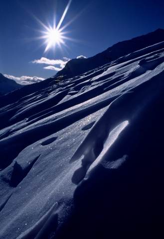 Neve #19