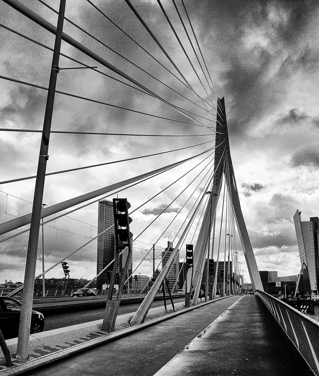 Ponte Erasmo