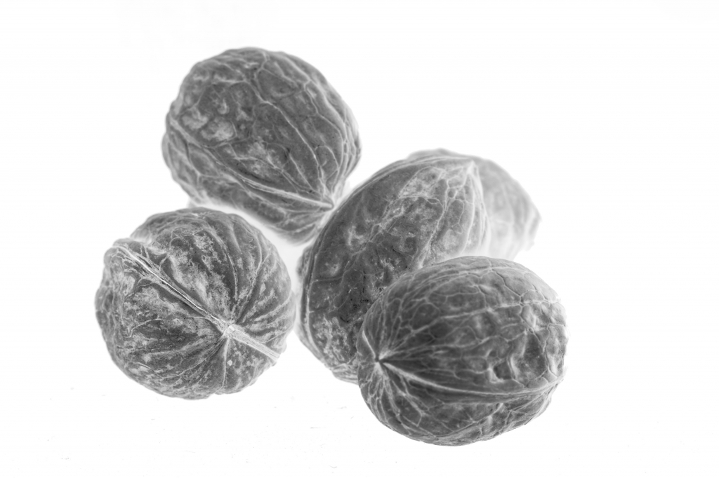 Noci