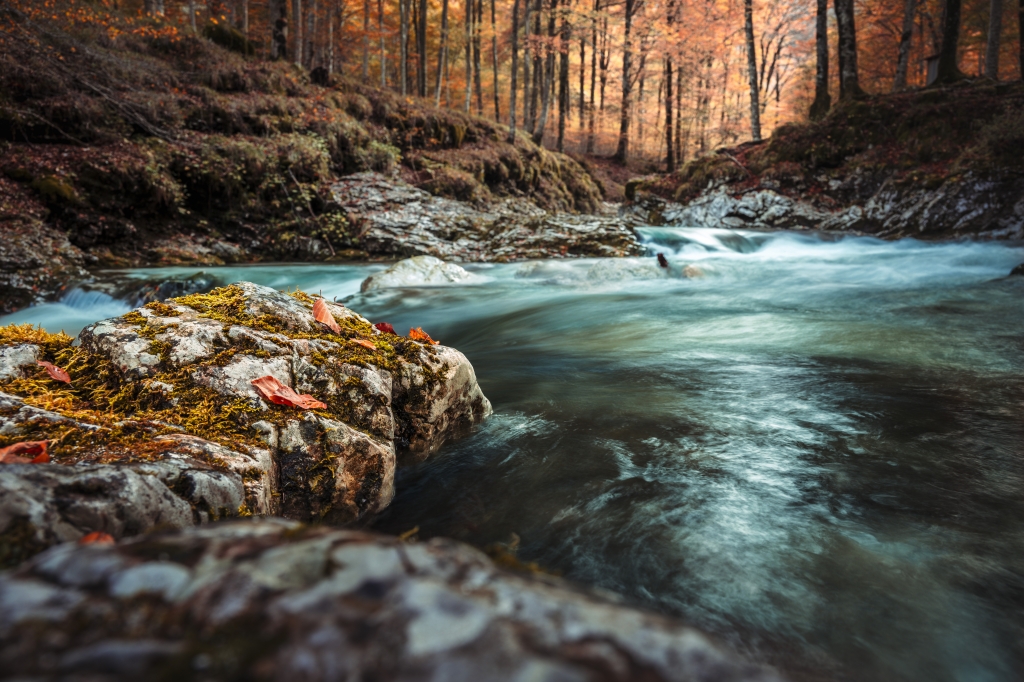 Luci nel bosco d'autunno