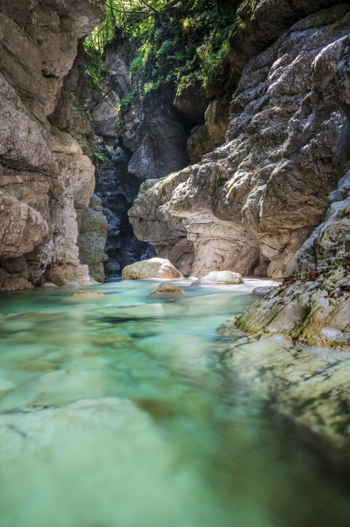 Tra le acque smeraldine del torrente Raccolana