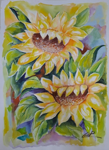GIRASOLI innammorati del M° P.Colle