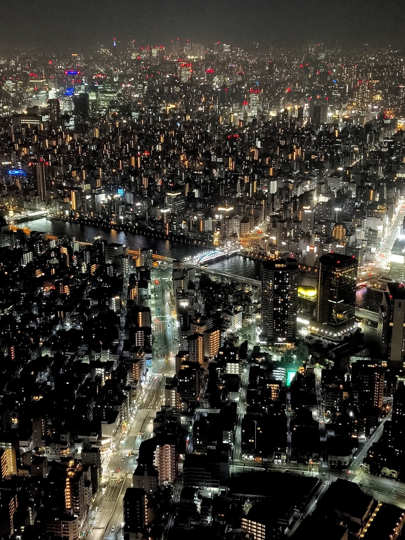 Tokyo by night