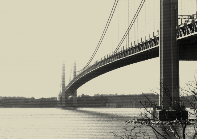 Ponte nel New Jersey · iacalf1