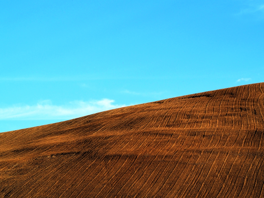 Paesaggio rurale