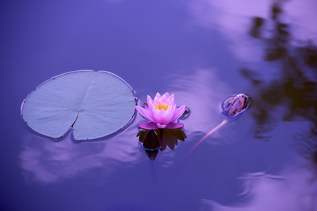 Equilibrium