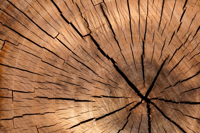 Wood