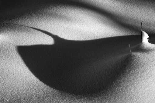 Shadow