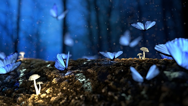 Dream