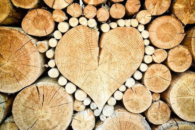 Wood