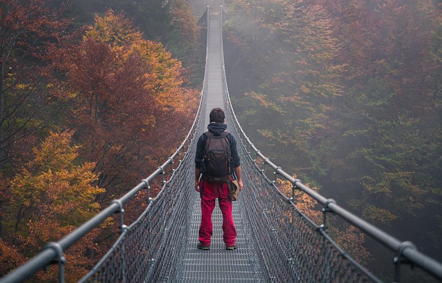 Bridge