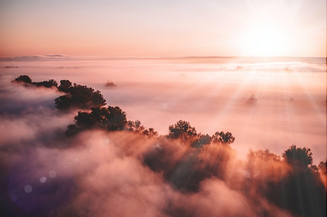 Dawn