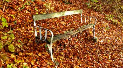 Autumn