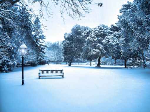 Snow