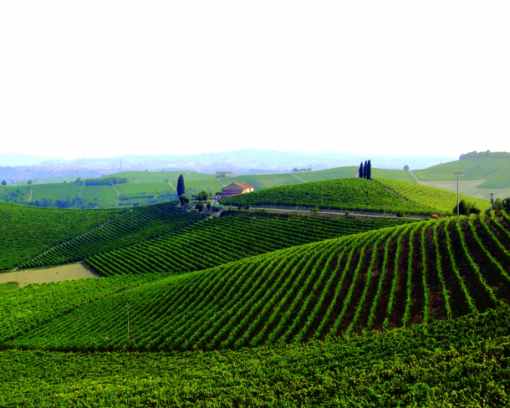 Be ... International and Infinite: Marche